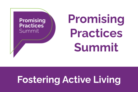 promising practices summit