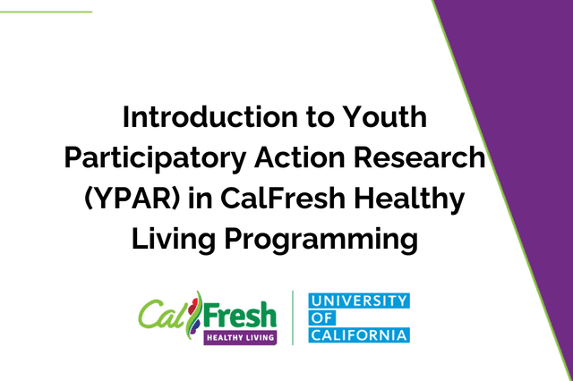 Intro_to_YPAR.png